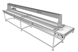 Lighted Selection Conveyor