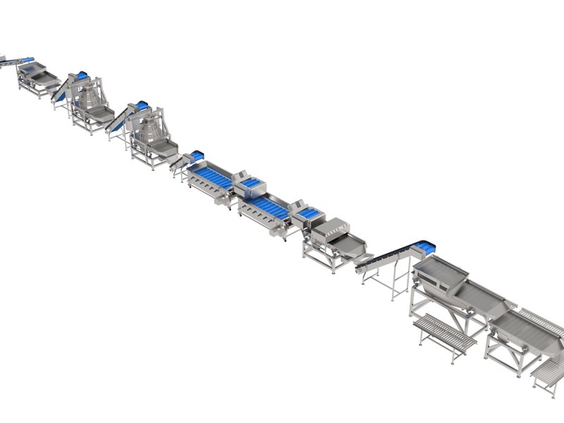 Dried Apricot Washing Line