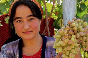 Üzüm Üretiminin Özbekistan'da Aile Gelirine Etkisi: Semerkand Bölgesi Küçük Çiftçileri Üzerine Bir Vaka Analizi
