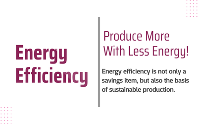 Increased Earnings with Energy Efficiency